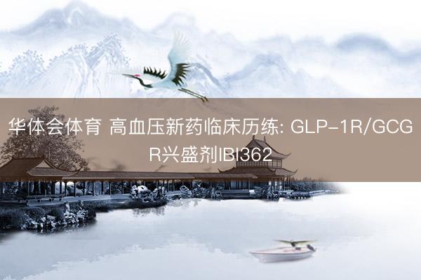 华体会体育 高血压新药临床历练: GLP-1R/GCGR兴盛剂IBI362
