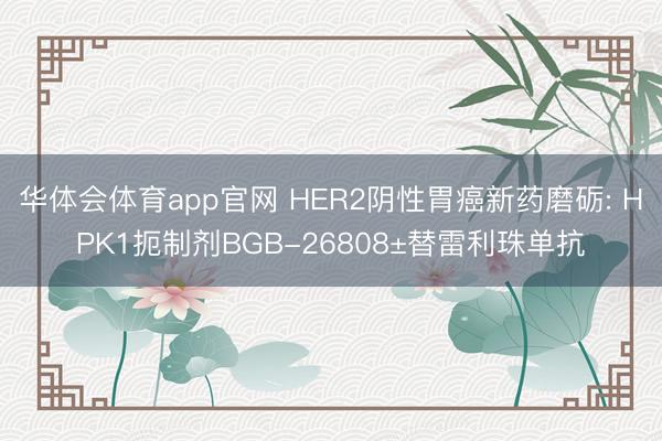 华体会体育app官网 HER2阴性胃癌新药磨砺: HPK1扼制剂BGB-26808±替雷利珠单抗