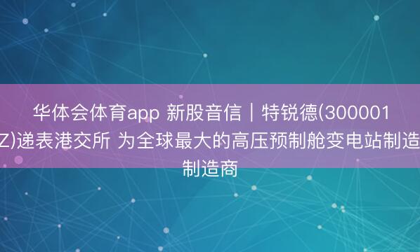 华体会体育app 新股音信｜特锐德(300001.SZ)递表港交所 为全球最大的高压预制舱变电站制造商
