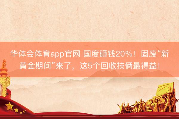 华体会体育app官网 国度砸钱20%！固废“新黄金期间”来了，这5个回收技俩最得益！