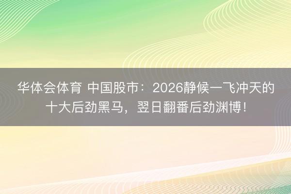 华体会体育 中国股市：2026静候一飞冲天的十大后劲黑马，翌日翻番后劲渊博！