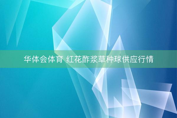 华体会体育 红花酢浆草种球供应行情