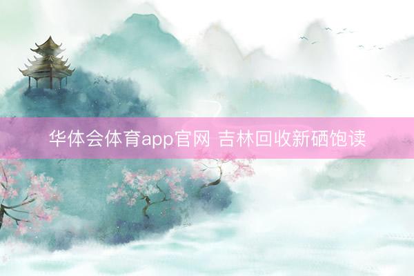 华体会体育app官网 吉林回收新硒饱读