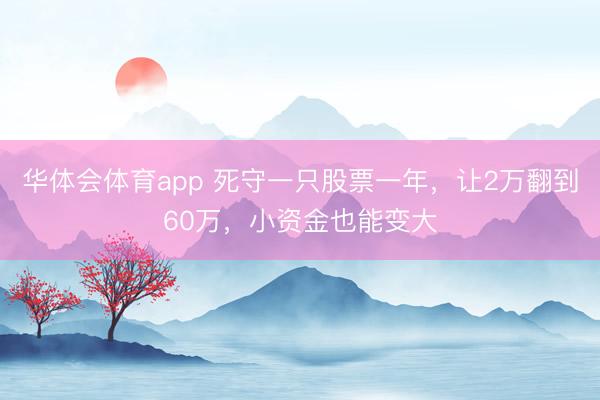 华体会体育app 死守一只股票一年，让2万翻到60万，小资金也能变大