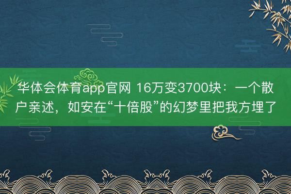 华体会体育app官网 16万变3700块：一个散户亲述，如安在“十倍股”的幻梦里把我方埋了