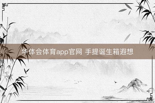 华体会体育app官网 手提诞生箱遐想