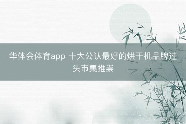 华体会体育app 十大公认最好的烘干机品牌过头市集推崇