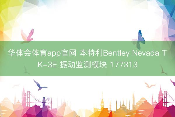 华体会体育app官网 本特利Bentley Nevada TK-3E 振动监测模块 177313