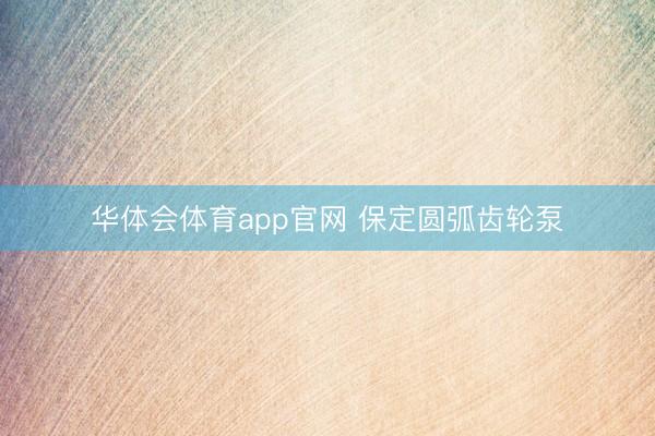 华体会体育app官网 保定圆弧齿轮泵