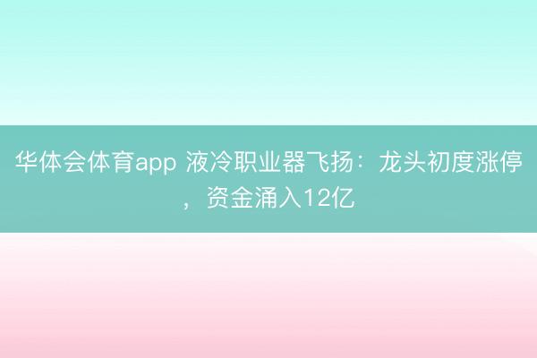 华体会体育app 液冷职业器飞扬：龙头初度涨停，资金涌入12亿