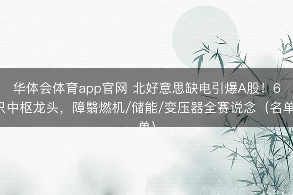 华体会体育app官网 北好意思缺电引爆A股！6只中枢龙头，障翳燃机/储能/变压器全赛说念（名单）
