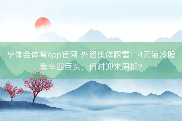 华体会体育app官网 外资集体踩雷！4元液冷股套牢四巨头，何时迎来周折？