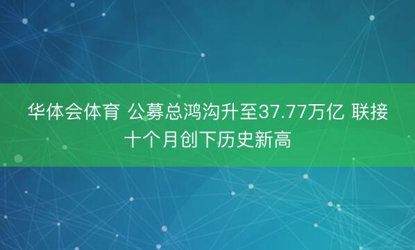 华体会体育 公募总鸿沟升至37.77万亿 联接十个月创下历史新高