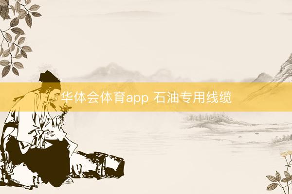 华体会体育app 石油专用线缆