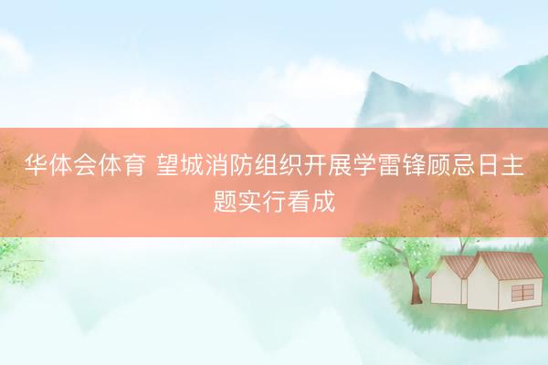 华体会体育 望城消防组织开展学雷锋顾忌日主题实行看成