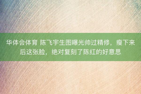 华体会体育 陈飞宇生图曝光帅过精修，瘦下来后这张脸，绝对复刻了陈红的好意思