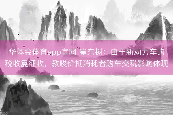 华体会体育app官网 崔东树：由于新动力车购税收复征收，教唆价抵消耗者购车交税影响体现