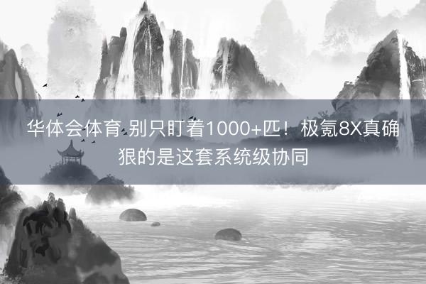 华体会体育 别只盯着1000+匹！极氪8X真确狠的是这套系统级协同