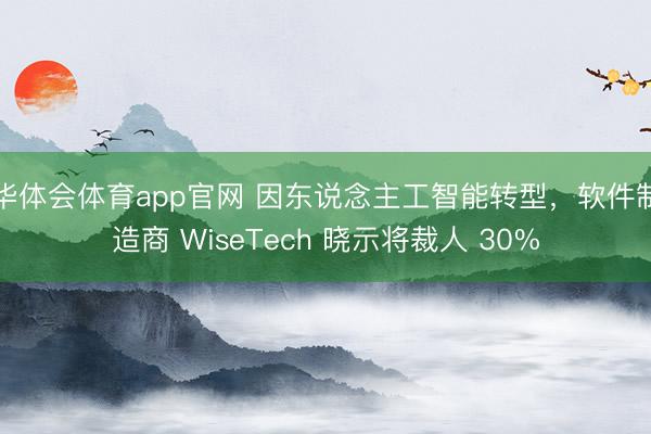 华体会体育app官网 因东说念主工智能转型，软件制造商 WiseTech 晓示将裁人 30%
