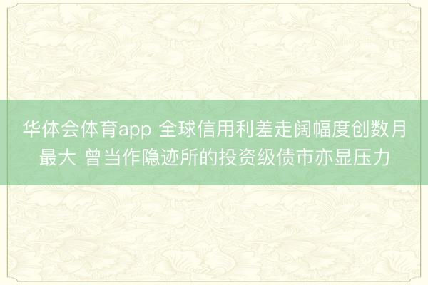 华体会体育app 全球信用利差走阔幅度创数月最大 曾当作隐迹所的投资级债市亦显压力