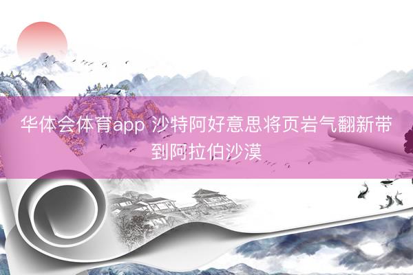 华体会体育app 沙特阿好意思将页岩气翻新带到阿拉伯沙漠