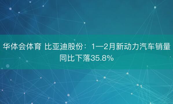 华体会体育 比亚迪股份：1—2月新动力汽车销量同比下落35.8%