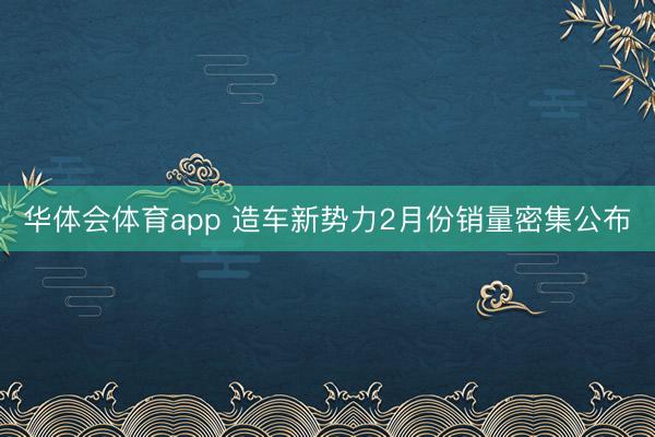 华体会体育app 造车新势力2月份销量密集公布