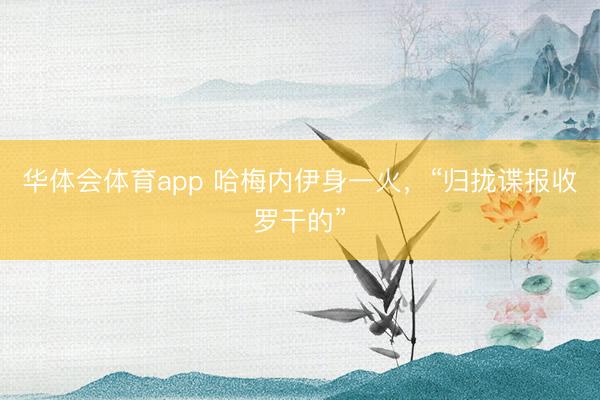 华体会体育app 哈梅内伊身一火，“归拢谍报收罗干的”