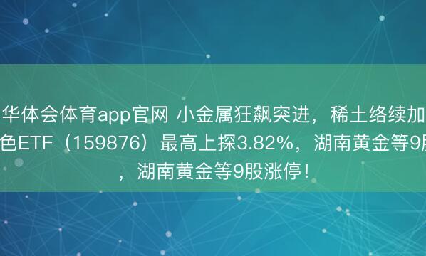 华体会体育app官网 小金属狂飙突进，稀土络续加价！有色ETF（159876）最高上探3.82%，湖南黄金等9股涨停！