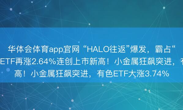 华体会体育app官网 “HALO往返”爆发，霸占“AI电荒”风口！电力ETF再涨2.64%连创上市新高！小金属狂飙突进，有色ETF大涨3.74%