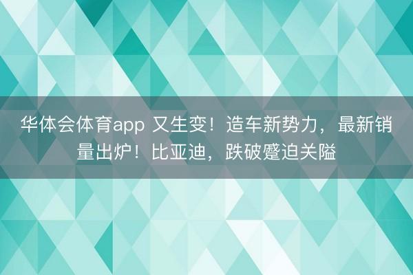 华体会体育app 又生变！造车新势力，最新销量出炉！比亚迪，跌破蹙迫关隘