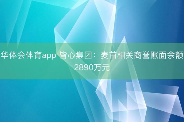 华体会体育app 皆心集团：麦苗相关商誉账面余额2890万元