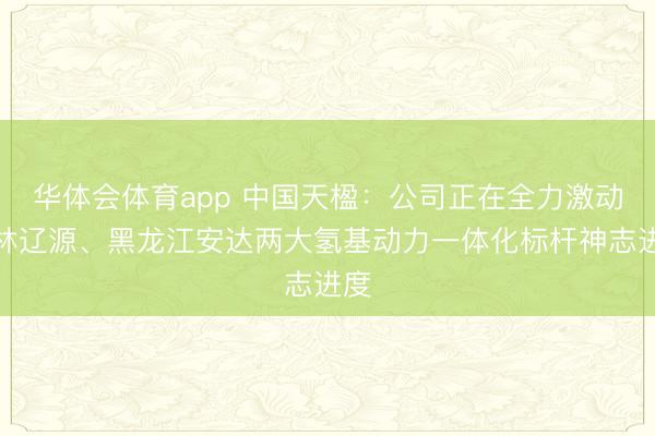 华体会体育app 中国天楹：公司正在全力激动吉林辽源、黑龙江安达两大氢基动力一体化标杆神志进度