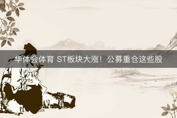 华体会体育 ST板块大涨！公募重仓这些股