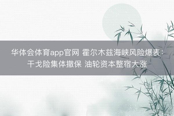华体会体育app官网 霍尔木兹海峡风险爆表：干戈险集体撤保 油轮资本整宿大涨