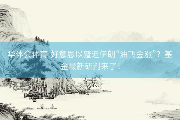 华体会体育 好意思以蹙迫伊朗“油飞金涨”？基金最新研判来了！