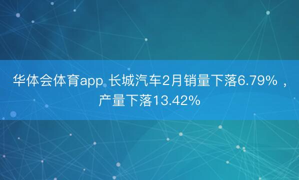 华体会体育app 长城汽车2月销量下落6.79% ，产量下落13.42%