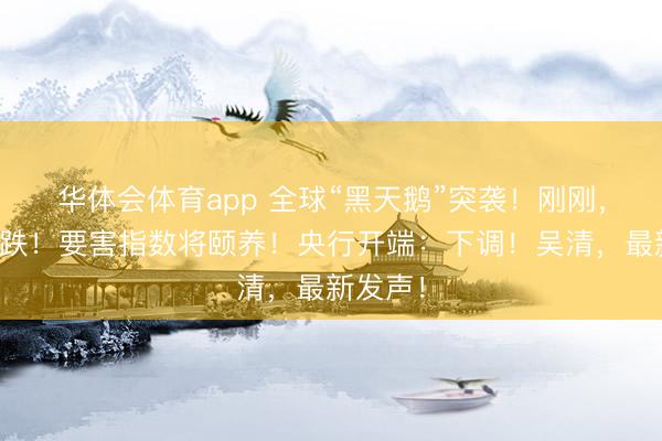 华体会体育app 全球“黑天鹅”突袭！刚刚，开盘大跌！要害指数将颐养！央行开端：下调！吴清，最新发声！