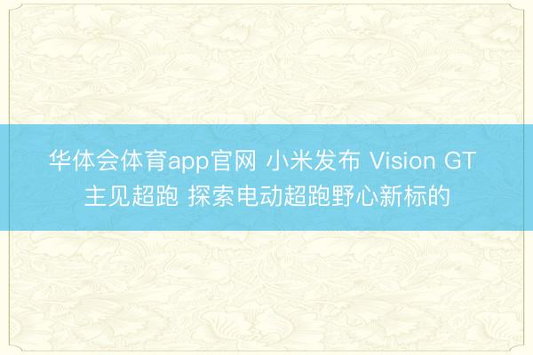 华体会体育app官网 小米发布 Vision GT 主见超跑 探索电动超跑野心新标的