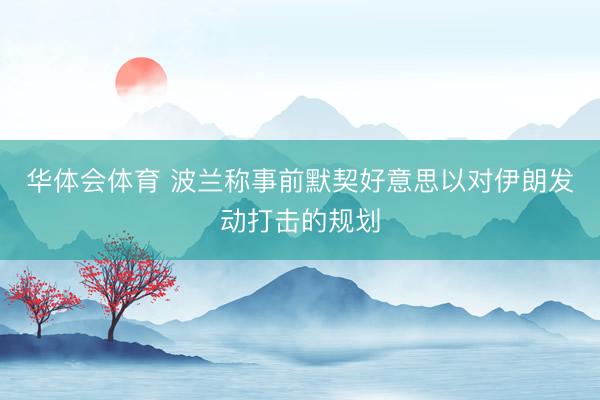 华体会体育 波兰称事前默契好意思以对伊朗发动打击的规划