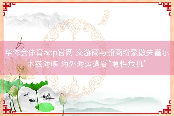 华体会体育app官网 交游商与船商纷繁散失霍尔木兹海峡 海外海运遭受“急性危机”