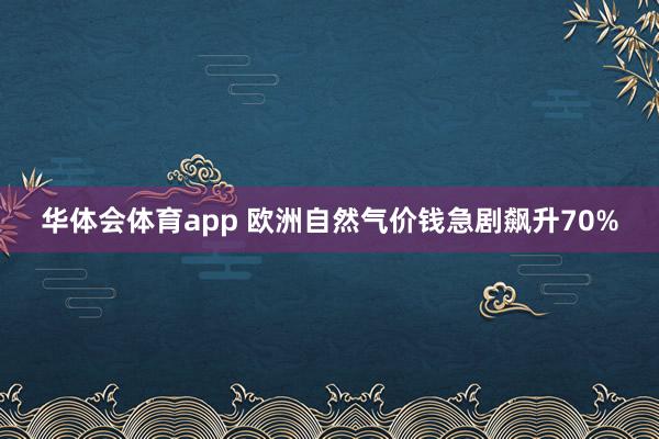 华体会体育app 欧洲自然气价钱急剧飙升70%