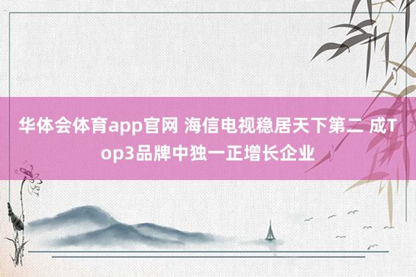 华体会体育app官网 海信电视稳居天下第二 成Top3品牌中独一正增长企业