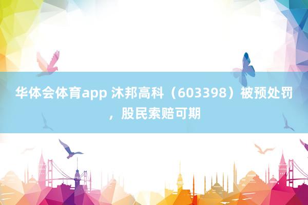 华体会体育app 沐邦高科（603398）被预处罚，股民索赔可期