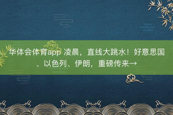 华体会体育app 凌晨，直线大跳水！好意思国、以色列、伊朗，重磅传来→