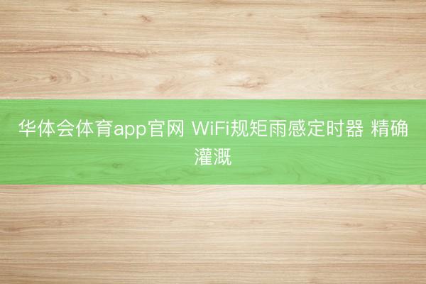 华体会体育app官网 WiFi规矩雨感定时器 精确灌溉