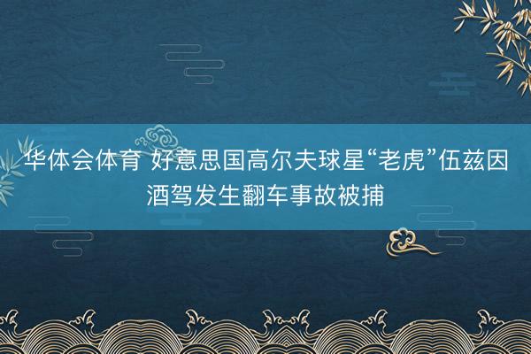 华体会体育 好意思国高尔夫球星“老虎”伍兹因酒驾发生翻车事故被捕