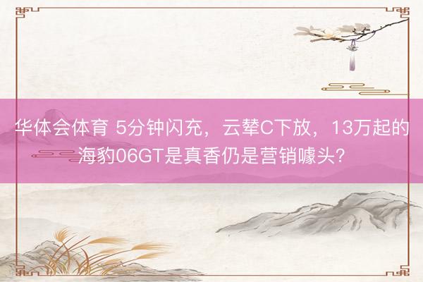 华体会体育 5分钟闪充，云辇C下放，13万起的海豹06GT是真香仍是营销噱头？
