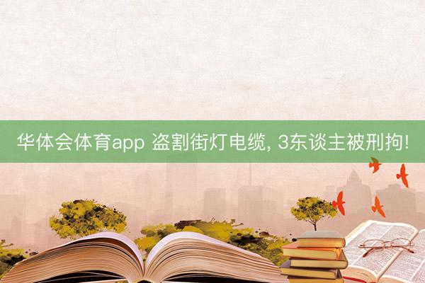 华体会体育app 盗割街灯电缆, 3东谈主被刑拘!