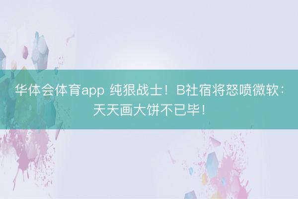 华体会体育app 纯狠战士！B社宿将怒喷微软：天天画大饼不已毕！